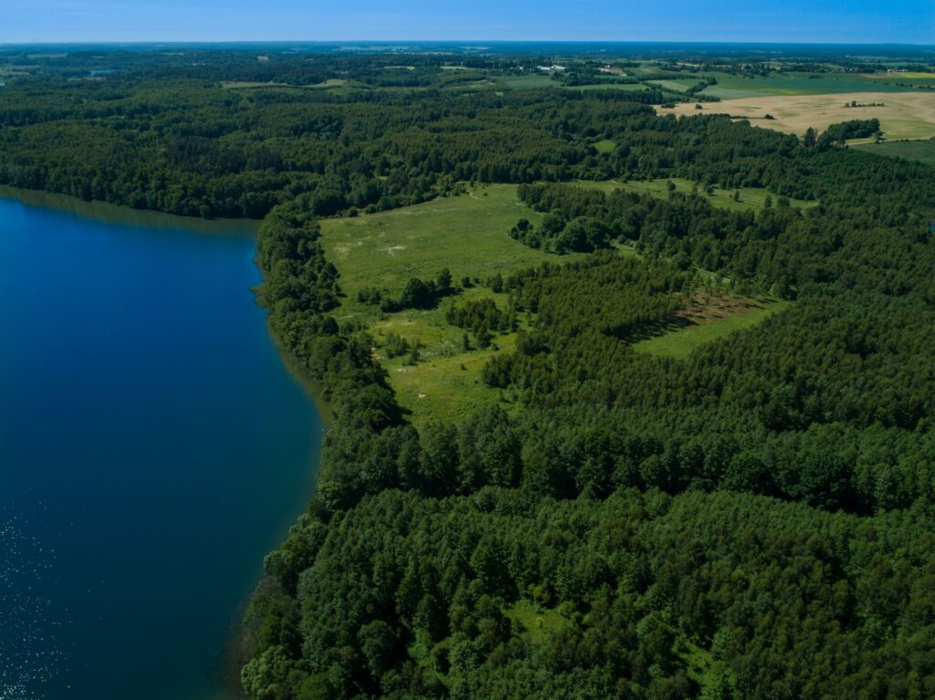 Jezioro Dąbrowa Mała. Działki budowlane z linią brzegową lub dostępem do jeziora
