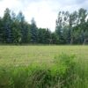 Grunt z MPZP 7,5 ha - przemysł, magazyny, składy okolice Mszczonowa - obrazek 3