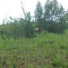 Grunt z MPZP 7,5 ha - przemysł, magazyny, składy okolice Mszczonowa - obrazek 5