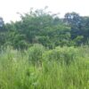 Grunt z MPZP 7,5 ha - przemysł, magazyny, składy okolice Mszczonowa - obrazek 6