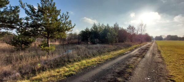 Sprzedam dużą działkę budowlaną pod MPZP - obrazek 2