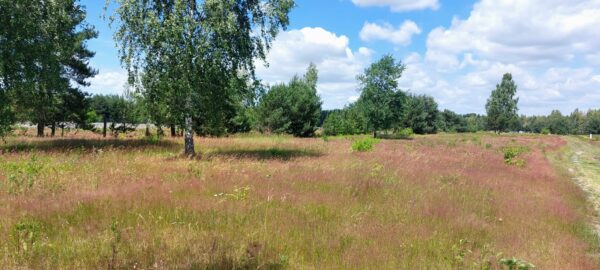 Sprzedam działki budowlane w gminie Czosnów - obrazek 5