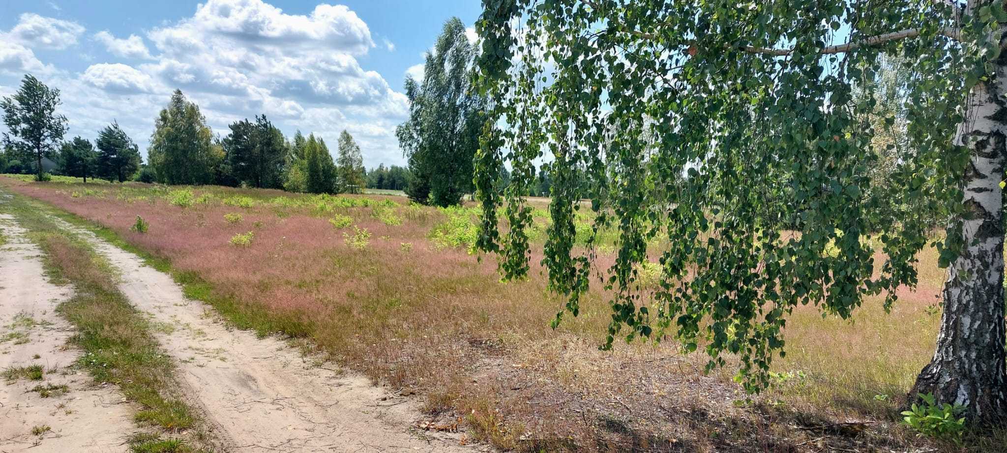 Nowa Mała Wieś, gmina Leoncin, powiat nowodworski