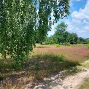 Sprzedam działki budowlane w gminie Czosnów
