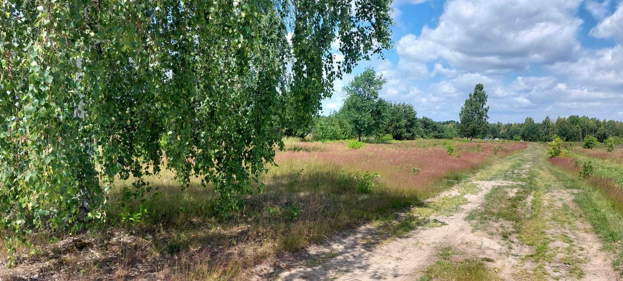 Sprzedam działki budowlane w gminie Czosnów